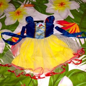 Snow white dress up dress
